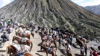 Pemilik kuda menunggu wisatawan untuk menyewa tunggangan di Gunung Bromo, Probolinggo, Jawa Timur, Minggu (13/6/2021).