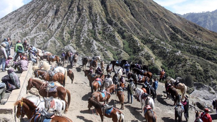 Pemilik mengantarkan pengunjung berkuda di Gunung Bromo, Probolinggo, Jawa Timur, Minggu (13/6/2021). Para pemilik kuda tersebut menawarkan jasanya kepada wisatawan yang ingin menuju puncak Gunung Bromo menggunakan kuda dengan tarif Rp50 ribu sampai Rp150 ribu. ANTARA FOTO/Umarul Faruq/foc.