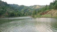 Di destinasi ini, pengunjung dapat bersantai sambil menikmati hamparan danau buatan yang indah. Meskipun berada di pelosok desa, embung Sidem dapat dijangkau dengan mudah oleh sepeda motor maupun mobil. 