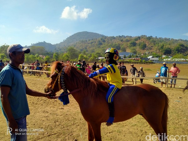 Selain dilombakan di Bima, kuda-kuda mereka pun diikutkan pada pacuan kuda event-event tertentu di daerah lain seperti Dompu dan Sumbawa. Selain dilombakan di Bima, kuda-kuda mereka pun diikutkan pada pacuan kuda event-event tertentu di daerah lain seperti Dompu dan Sumbawa.