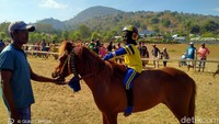 Selain dilombakan di Bima, kuda-kuda mereka pun diikutkan pada pacuan kuda event-event tertentu di daerah lain seperti Dompu dan Sumbawa.