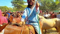 Berbicara tentang Bima atau yang dikenal dengan sebutan Mbojo, pasti akan terlintas pacuan kuda dengan joki ciliknya. Budaya ini begitu khas.