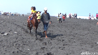 Pantai Watu Pecak memang tak kalah menarik dengan destinasi lainnya. Karena para pengunjung di sana bisa menunggang kuda di tepi pantai dan ini merupakan pengalaman yang tidak akan terlupakan. 