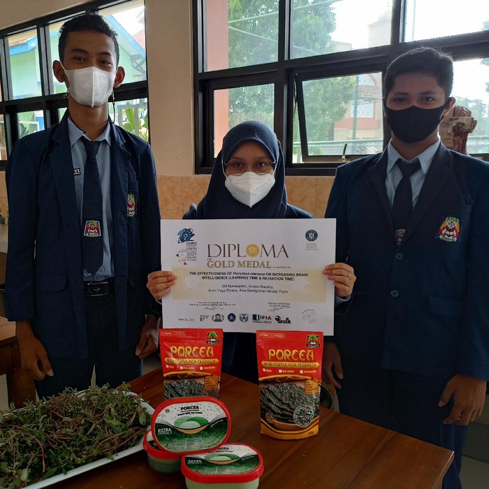 Siswa SMAN 3 Ponorogo Olah Tumbuhan Krokot Jadi Cemilan Sehat