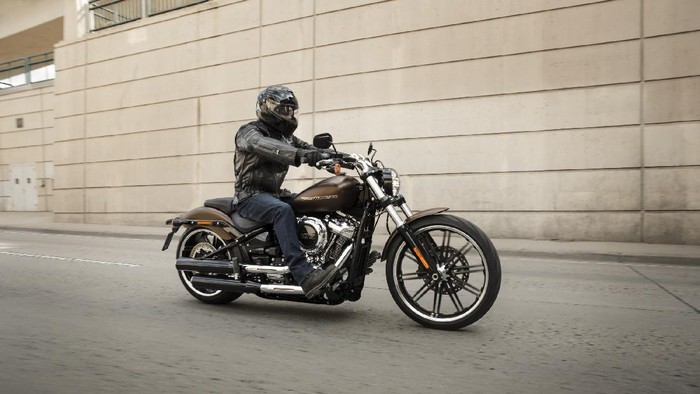 Harley-Davidson Model Year 2021