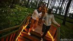 Bandung Siaga 1, Intip Lagi Yuk Keindahan Orchid Forest Cikole