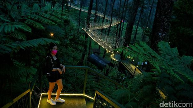 Orchid Forest Cikole Lembang
