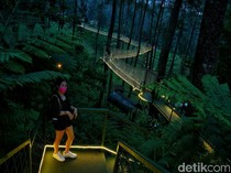 5 Destinasi Adem di Sekitar Bandung yang Ramah Anak