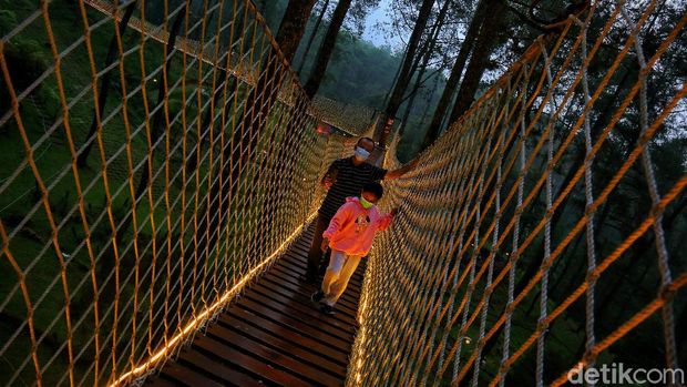 Orchid Forest Cikole Lembang