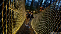 Saat berjalan di atasnya, jembatan ini akan sedikit bergoyang. Mungkin untuk yang takut ketinggian tidak disarankan untuk melihat ke bawah, ya. Sky Bridge di Orchid Forest Cikole dibuat dengan berliku dan memiliki beberapa pos perhentian. Di sana pengunjung harus bergantian untuk lewat, karena jembatan memiliki kuota maksimal lintas yaitu 5 orang.  