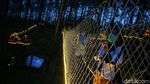 Bandung Siaga 1, Intip Lagi Yuk Keindahan Orchid Forest Cikole