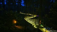 Lampu-lampu di sepanjang jembatan akan menyala. Lampu berwarna kuning, membuat Sky Bridge seakan dibawa terbang oleh ribuan kunang-kunang.  
