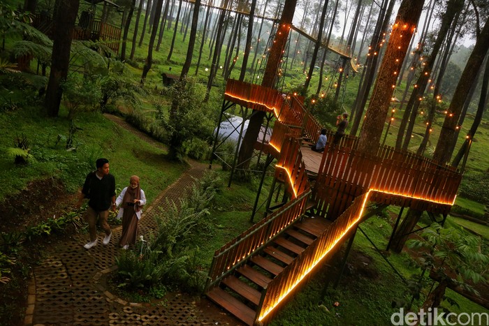 Orchid Forest Cikole Lembang
