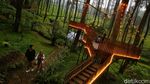 Sepoi-sepoi Wisata Alam Orchid Forest Cikole