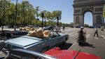 Kala Boneka Beruang Keliling Paris Naik Mobil Tua