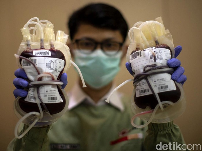 Sejumlah warga di Jakarta mendonorkan darahnya di PMI DKI. Kegiatan donor darah itu bertepatan dengan Hari Donor Darah Sedunia yang diperingati tiap 14 Juni.