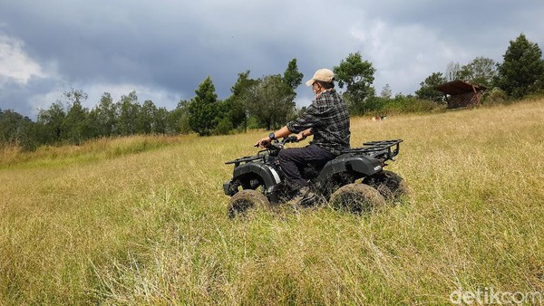 Menyusuri Kawah Wurung lebih dalam dan jauh menggunakan ATV, wisatawan seolah dibawa ke nuansa dataran di benua Afrika. Karena sejauh mata memandang, yang tampak hanya padang ilalang. Warnanya pun bernuansa coklat kekuningan. Eksotis! (Chuk Shatu Widarsha/detikTravel) Menyusuri Kawah Wurung lebih dalam dan jauh menggunakan ATV, wisatawan seolah dibawa ke nuansa dataran di benua Afrika. Karena sejauh mata memandang, yang tampak hanya padang ilalang. Warnanya pun bernuansa coklat kekuningan. Eksotis! (Chuk Shatu Widarsha/detikTravel)