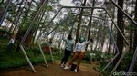 Bandung Siaga 1, Intip Lagi Yuk Keindahan Orchid Forest Cikole