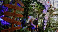 Orchid Forest Cikole cukup ramai saat weekend tiba. Tiket masuknya Rp 50 ribu per orang dengan tambahan uang parkir kendaraan. Jangan lupa dikunjungi nanti kalau tempat wisata di Bandung Barat sudah boleh dibuka ya?  