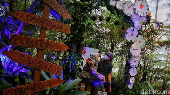 Orchid Forest Cikole Lembang