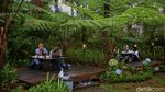 Sepoi-sepoi Wisata Alam Orchid Forest Cikole