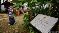 Berada di hutan lindung miliki Perhutani, tempat wisata ini sangat asri dengan cuaca yang sejuk menuju dingin. Menginjakkan kaki di sini membuatmu seakan teringat kembali julukan Paris Van Java yang menjadi identitas Bandung yang dingin.  