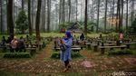 Sepoi-sepoi Wisata Alam Orchid Forest Cikole