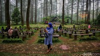 Lelah berkeliling, tempat ini memiliki beberapa amphiteater dengan tempat duduk. Sambil beristirahat, angin sepoi dan gesekan daun menjadi teman yang hangat di telinga.  