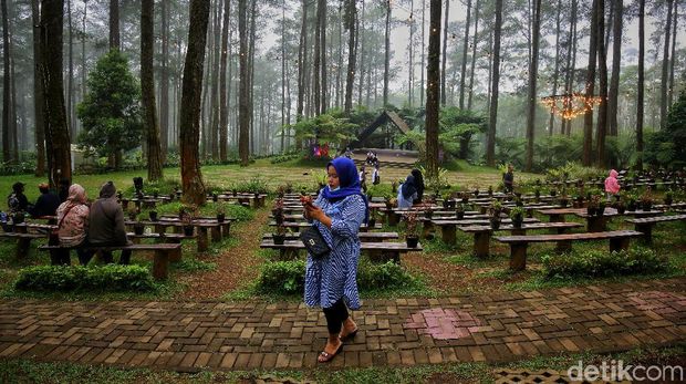 Orchid Forest Cikole Lembang