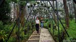 Sepoi-sepoi Wisata Alam Orchid Forest Cikole
