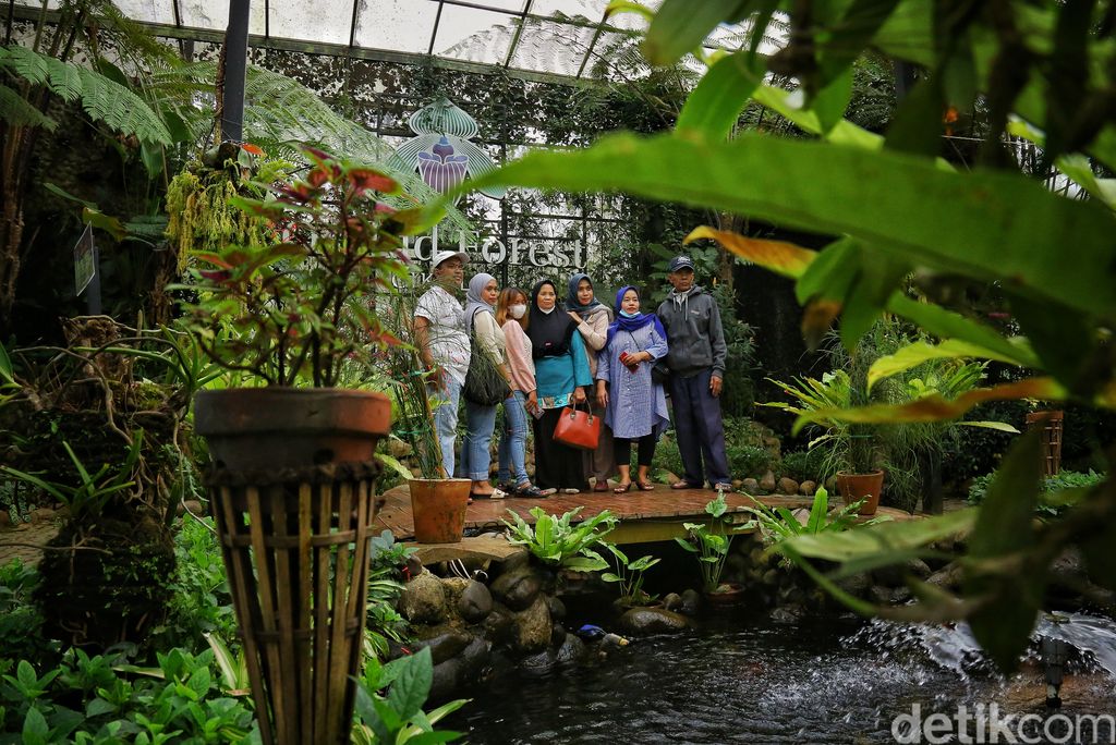 Orchid Forest Cikole Lembang