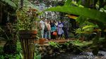 Sepoi-sepoi Wisata Alam Orchid Forest Cikole