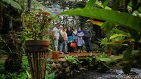 Mengusung konsep rumah anggrek, Orchid Forest Cikole memiliki lebih dari 20.000 jenis anggrek yang disebarkan di seluruh area. Disisipi dengan area berfoto, tempat wisata ini jadi salah satu yang populer di kalangan milenial.  
