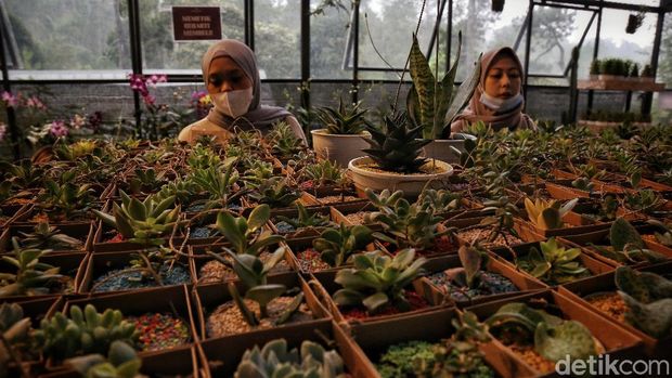 Orchid Forest Cikole Lembang