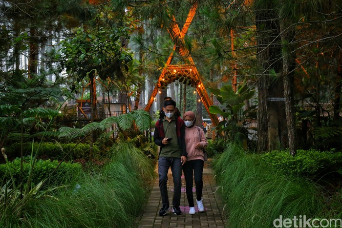 Orchid Forest Cikole Lembang