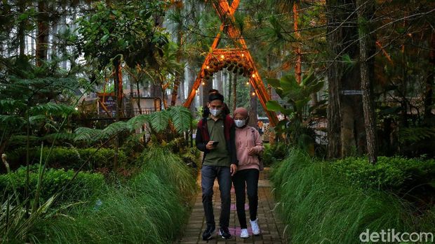 Orchid Forest Cikole Lembang Orchid Forest Cikole Lembang