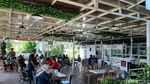 Potret Kafe Minimalis Pinggir Sawah di Kawasan Toba