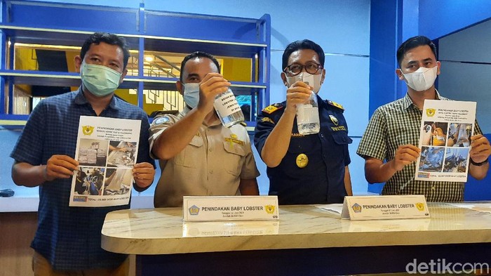 Rilis penyelundupan benur di Palembang
