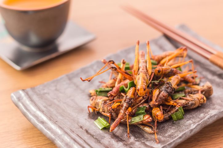 7 Serangga Ini Bisa Dimakan, Bahkan Dianjurkan PBB!