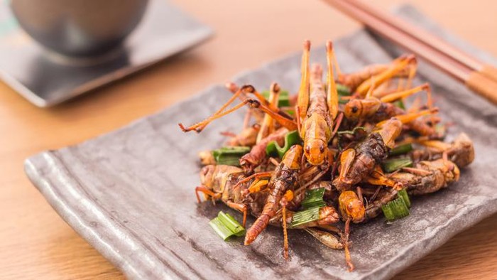 7 Serangga Ini Bisa Dimakan, Bahkan Dianjurkan PBB!