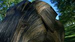 Taman di London Disulap Jadi Kebun Gajah, Ada Apa?