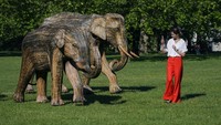  Tak sedikit warga yang mampir di taman tersebut untuk memotret patung-patung gajah yang dipamerkan di Green Park, London.