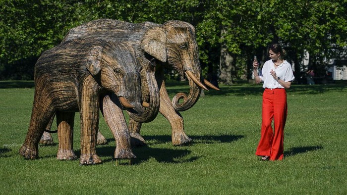 Sejumlah patung gajah hiasi salah satu taman di kawasan London, Inggris. Kehadiran patung-patung gajah itu jadi bagian kampanye cegah gajah Asia dari kepunahan.