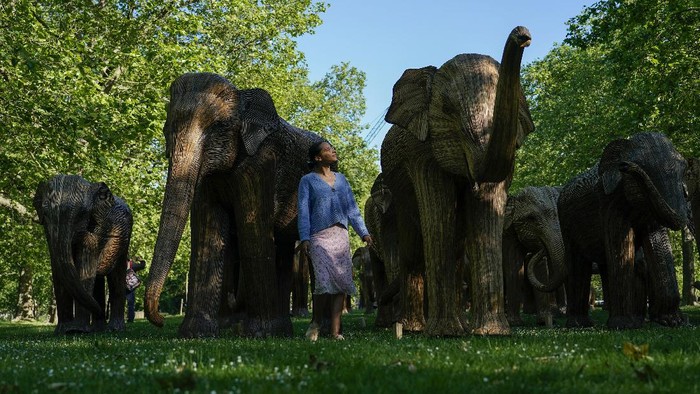Taman di London Disulap Jadi Kebun Gajah, Ada Apa? Sejumlah patung gajah hiasi salah satu taman di kawasan London, Inggris. Kehadiran patung-patung gajah itu jadi bagian kampanye cegah gajah Asia dari kepunahan.