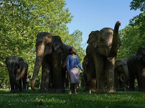 Taman di London Disulap Jadi Kebun Gajah, Ada Apa?