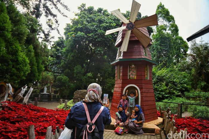 Farm House Susu Lembang menjadi salah satu wisata yang digemari di Bandung. Memiliki nuansa Eropa dengan peternakan kecil, Farm House sangat ramah anak.