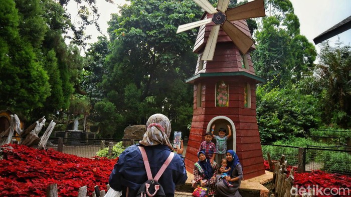 Farm House Susu Lembang menjadi salah satu wisata yang digemari di Bandung. Memiliki nuansa Eropa dengan peternakan kecil, Farm House sangat ramah anak.