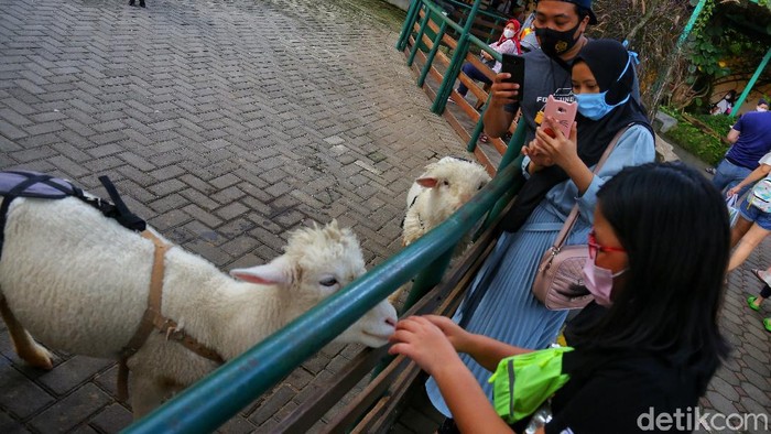 Farm House Susu Lembang menjadi salah satu wisata yang digemari di Bandung. Memiliki nuansa Eropa dengan peternakan kecil, Farm House sangat ramah anak.