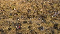 Departemen Pertambangan menyatakan, pihaknya mengirim tim ke lokasi yang terdiri dari ahli geologi dan pertambangan untuk mengumpulkan sampel dan melakukan analisis. Departemen tersebut menyatakan, laporan teknis formal akan dikeluarkan pada waktunya.