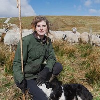 Amanda Owen, dulunya seorang model Inggris yang banting setir dengan bekerja di peternakan. Di era modern seperti saat ini, Amanda justru memilih menjadi pengembala.  Foto: dok. Instagram